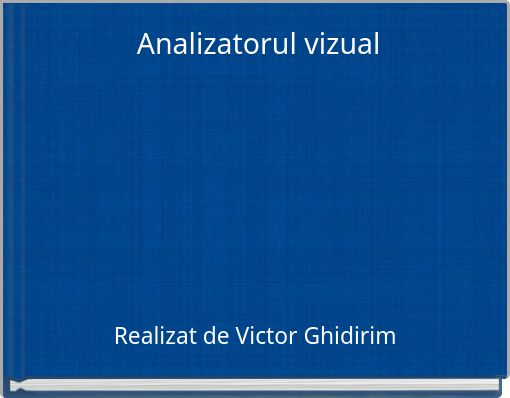 Analizatorul vizual
