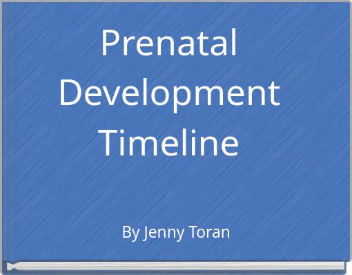 Prenatal Development Timeline