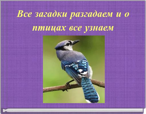 Все загадки разгадаем и о птицах все узнаем