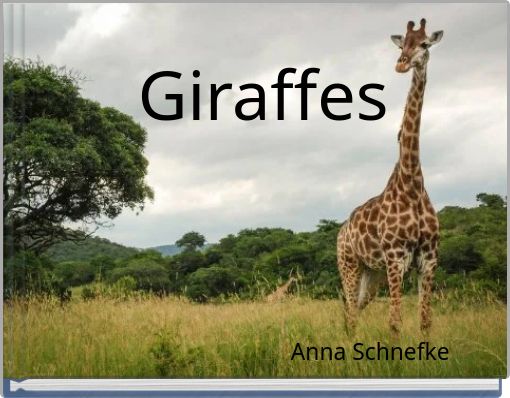 Giraffes