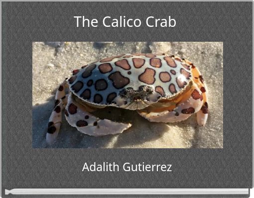 The Calico Crab