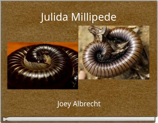 Julida Millipede