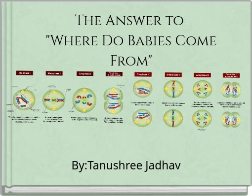 The Answer to "Where Do Babies Come From"