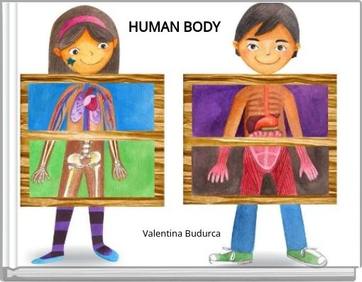 HUMAN BODY