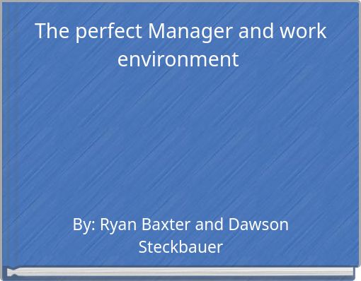 The perfect Manager and work environment