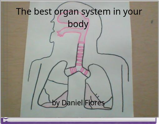 The best organ system in your body