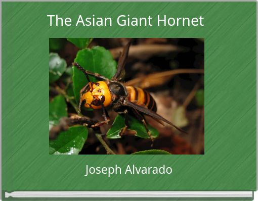 Front cover of 'The Asian Giant Hornet' 