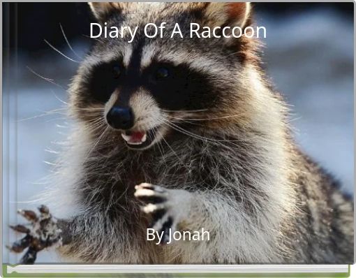 Diary Of A Raccoon