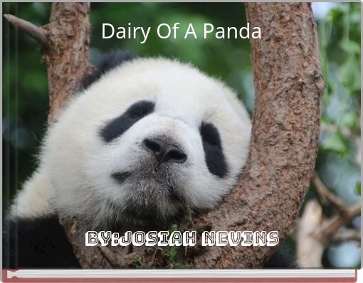 Front cover of 'Dairy Of A Panda' 