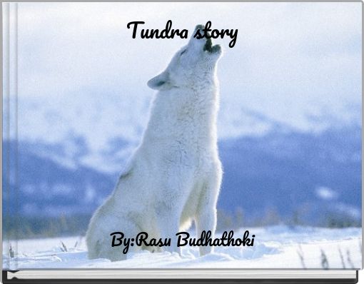 Book Cover for: Tundra story