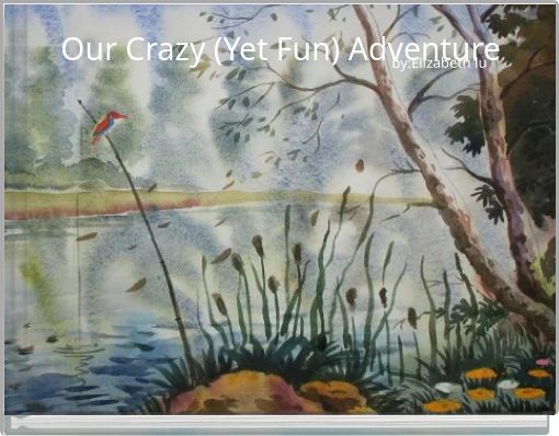 Book Cover for: Our Crazy (Yet Fun) Adventure