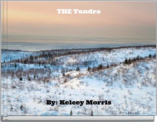 Book Cover for: THE Tundra