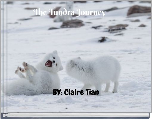 Front cover of 'The Tundra Journey' 