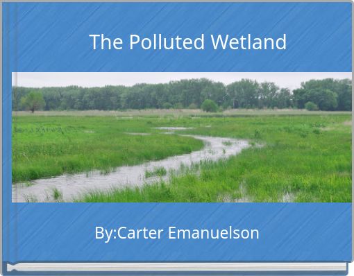 The Polluted Wetland