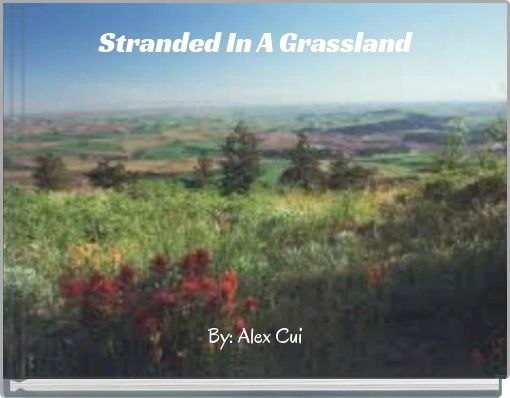 Front cover of 'Stranded In A Grassland' 