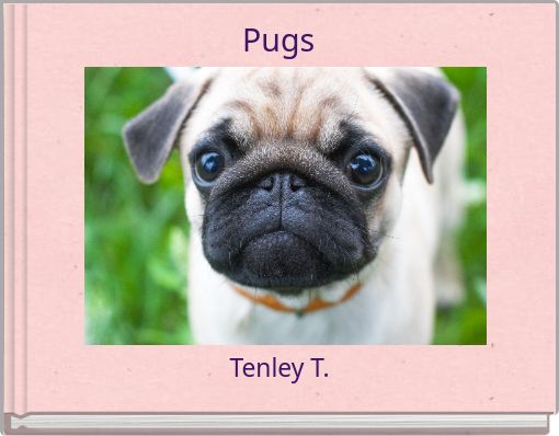 Front cover of 'Pugs' 