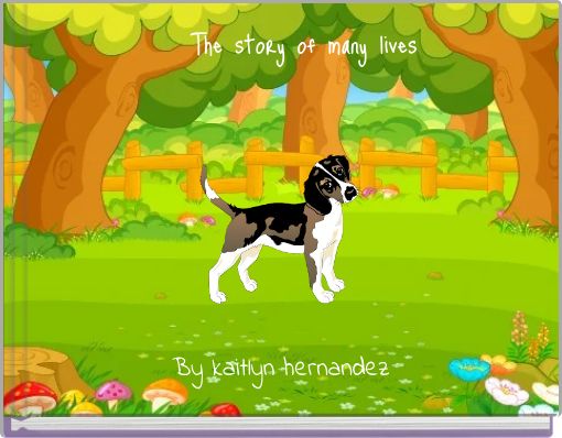 The story of many lives