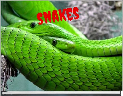 snakes