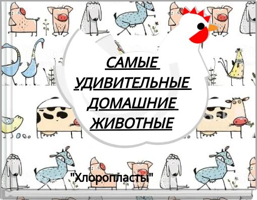 САМЫЕ УДИВИТЕЛЬНЫЕ ДОМАШНИЕ ЖИВОТНЫЕ