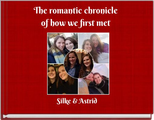 Front cover of 'The romantic chronicle of how we first met' 