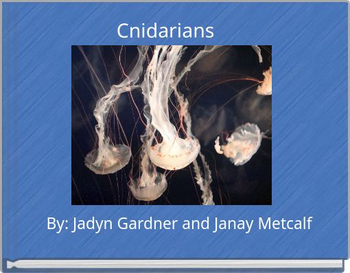 Cnidarians