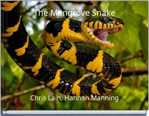 Front cover of 'The Mangrove Snake' 