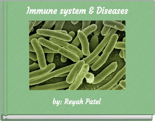 Immune system &amp; Diseases