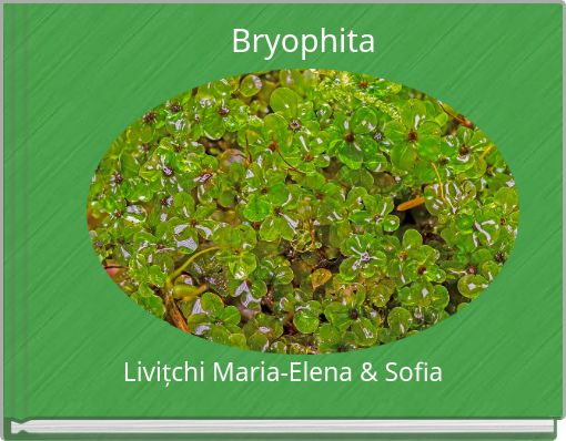 Bryophita