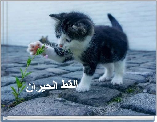 Front cover of 'القط الحيران' 