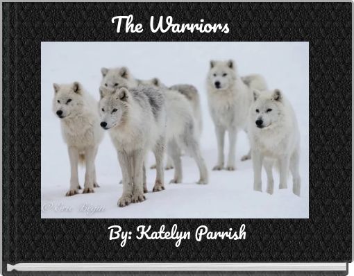 Front cover of 'The Warriors' 