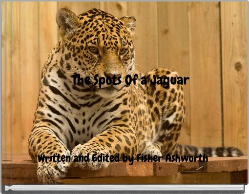 The Spots Of a Jaguar