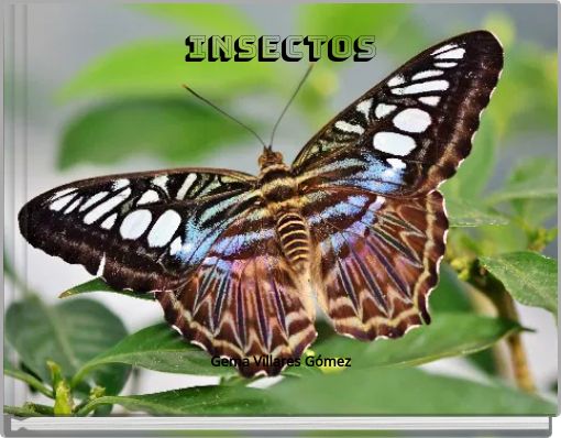 INSECTOS
