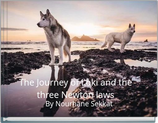 The Journey of Loki and the three Newton laws