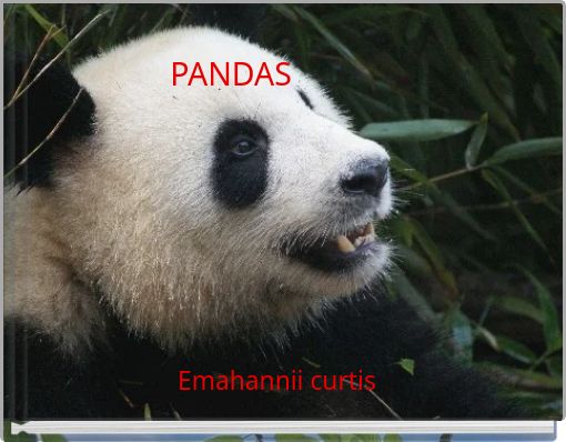 Book Cover for: PANDAS