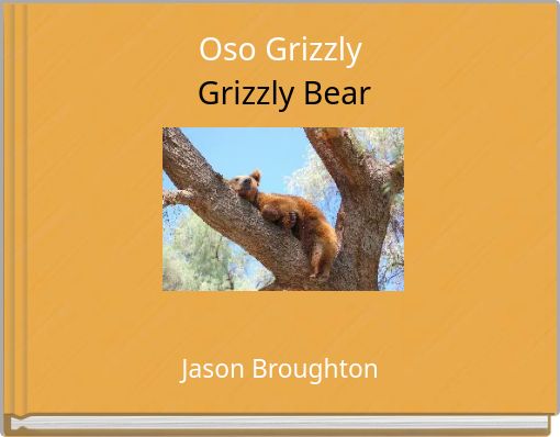 Oso Grizzly          Grizzly Bear