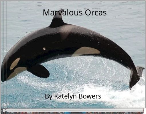 Marvalous Orcas