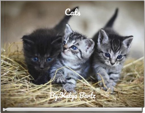 Front cover of 'Cats' 