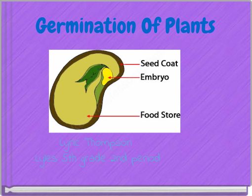 Germination Of Plants