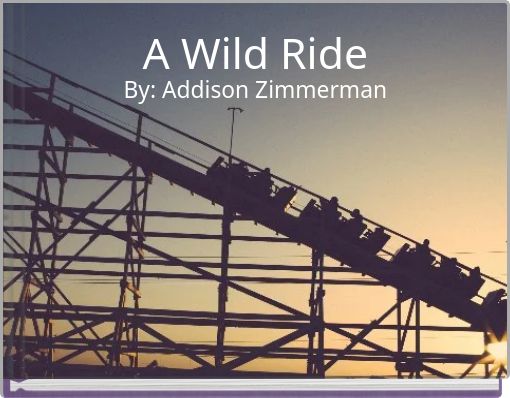 Front cover of 'A Wild Ride' 