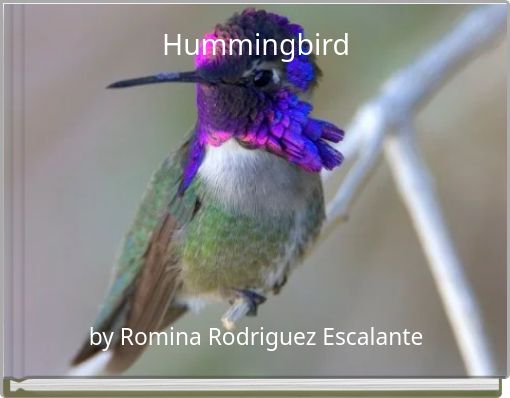 Front cover of 'Hummingbird' 