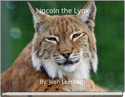 Lincoln the Lynx