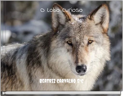 O Lobo curioso