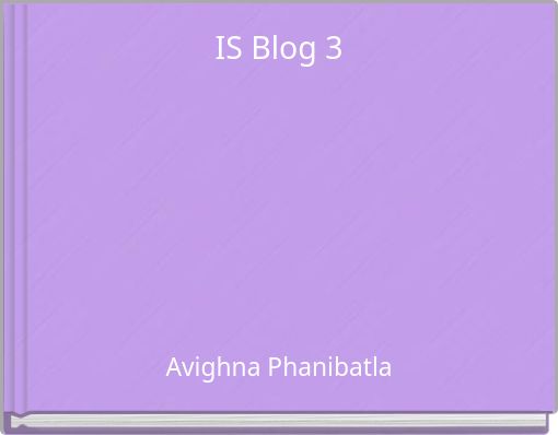 IS Blog 3