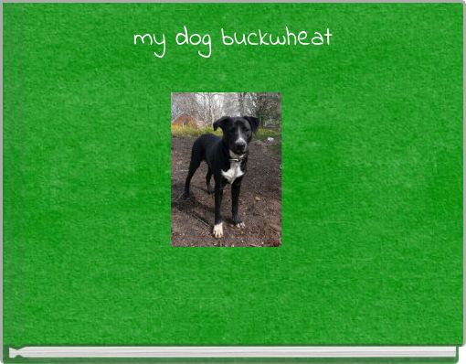 Front cover of 'my dog buckwheat' 