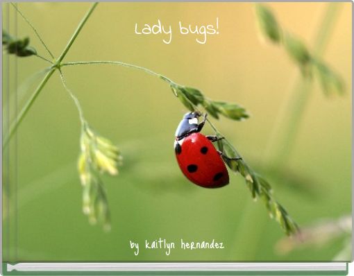 Book Cover for: Lady bugs!