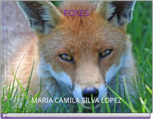 Front cover of 'FOXES' 