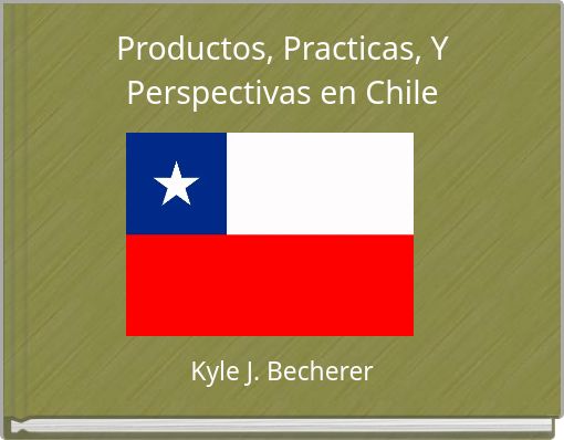 Productos, Practicas, Y Perspectivas en Chile