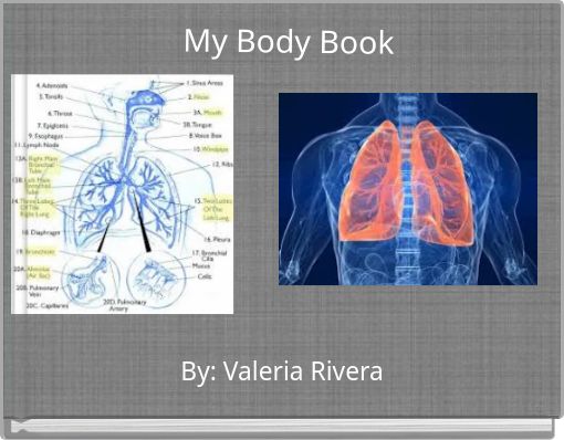 My Body Book