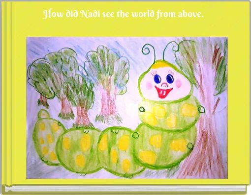 How did Nadi see the world from above.