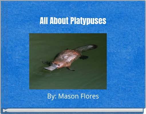 All About Platypuses